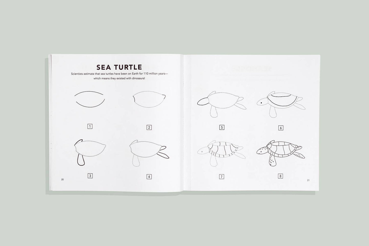 Under the Sea: How to Draw Books for Kids