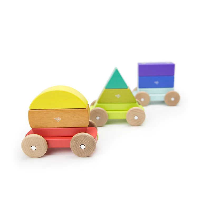 Magnetic Shape Train