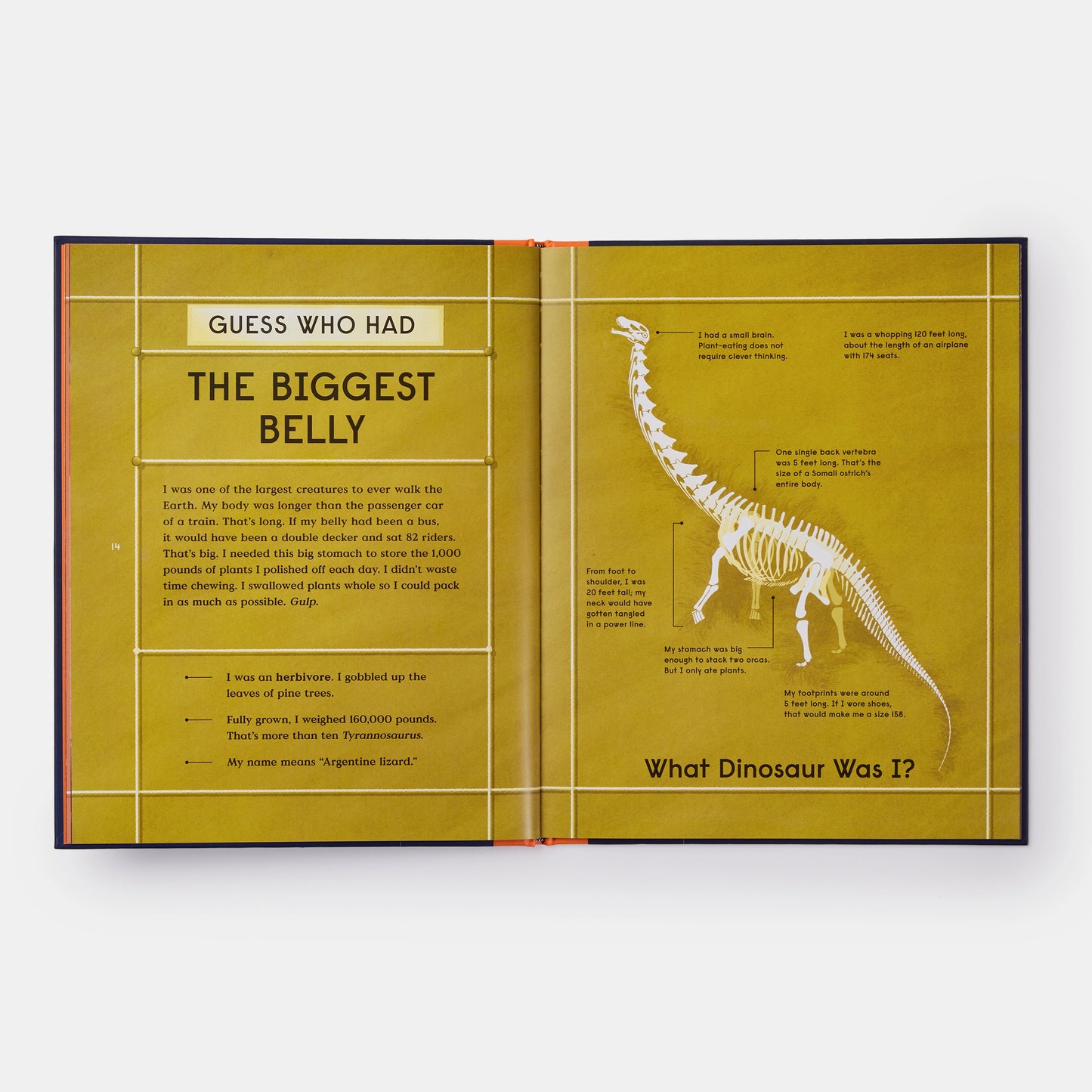 Book of Dinosaurs