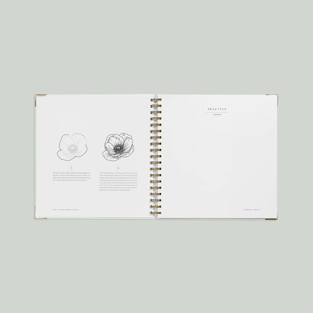 How to Draw Modern Florals Mini Book