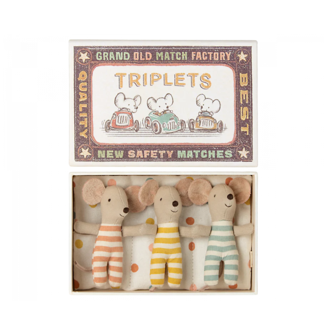 Triplets Baby Mice in Matchbox