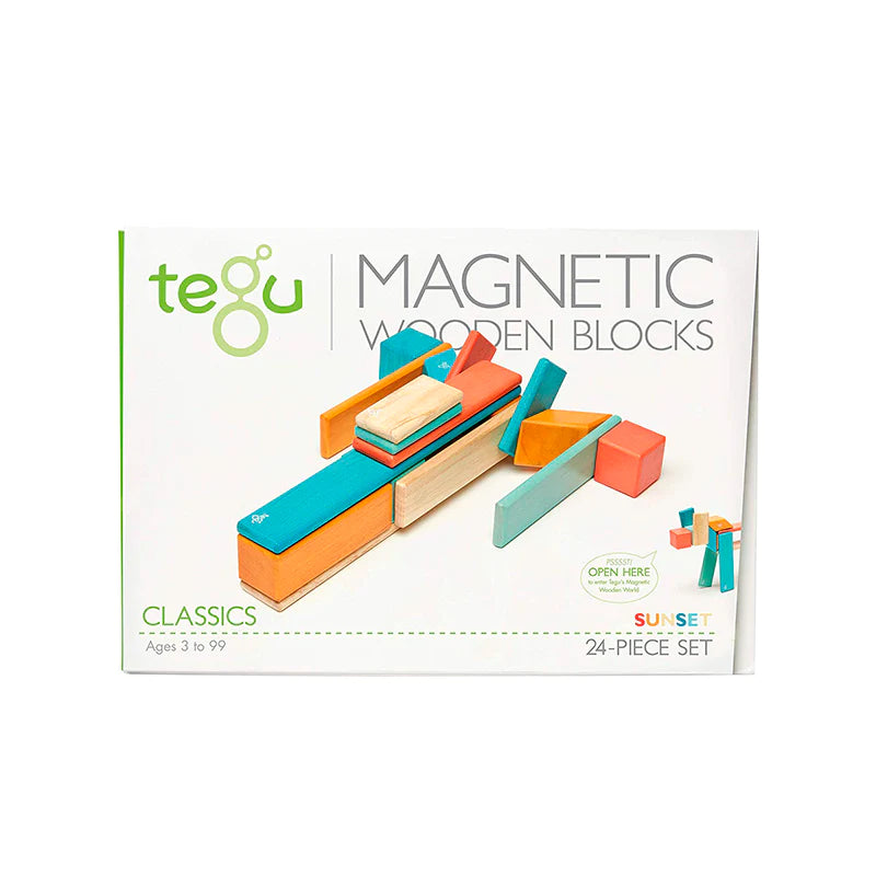 24 Piece Magnetic Wooden Block Set