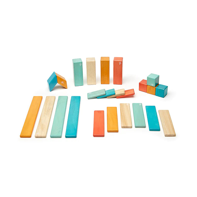 24 Piece Magnetic Wooden Block Set