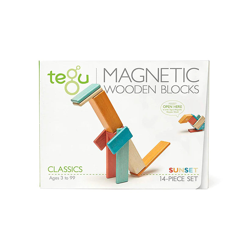 14 Piece Magnetic Wooden Block Set