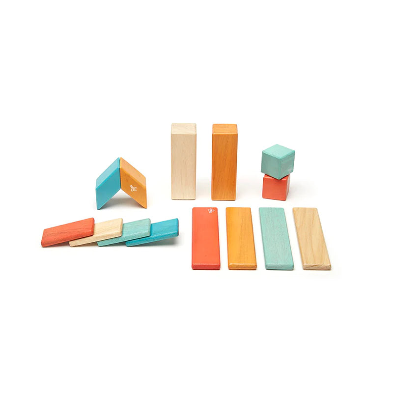 14 Piece Magnetic Wooden Block Set