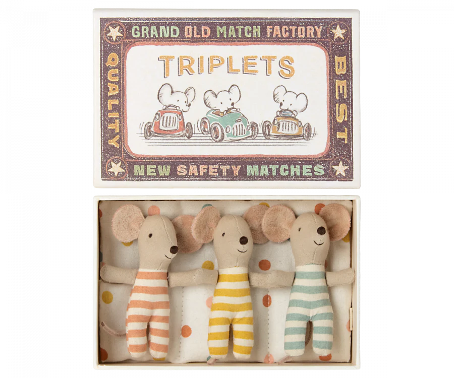 Triplets Baby Mice in Matchbox