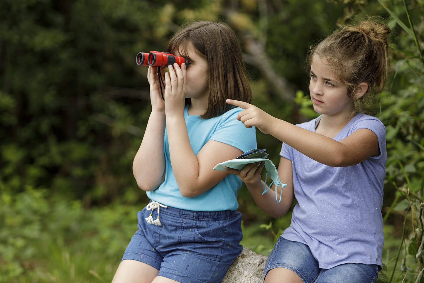 Little Birder Kit