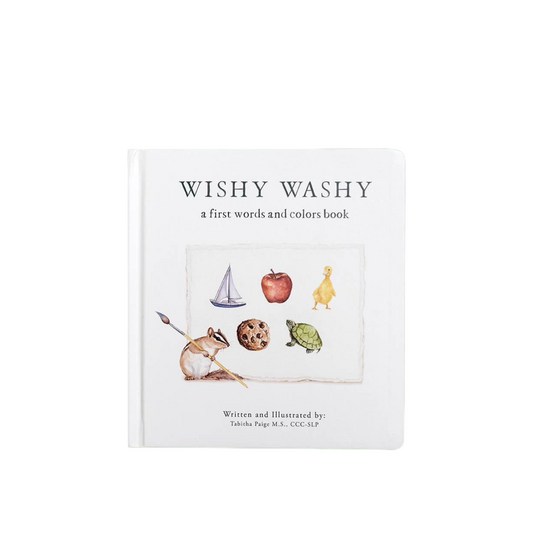 Wishy Washy: A Board Book of First Words and Colors