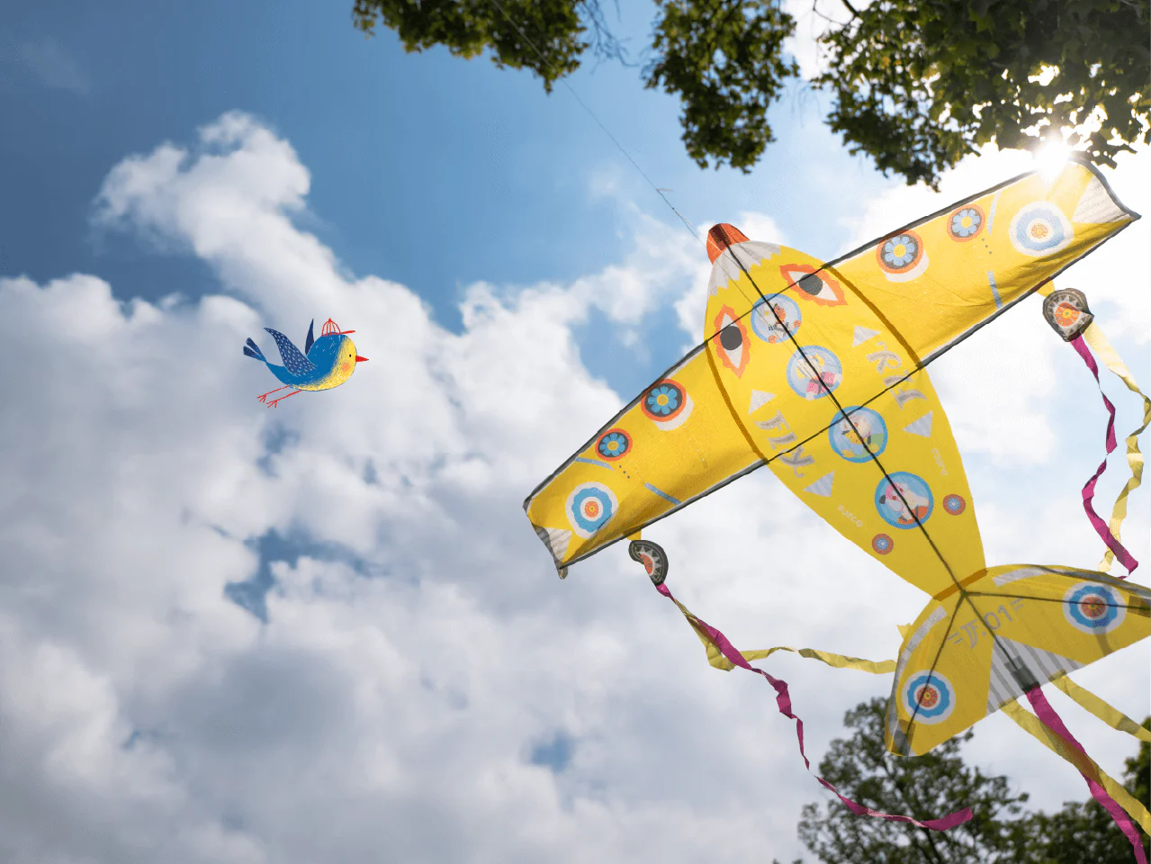 Maxi Plane Giant Kite