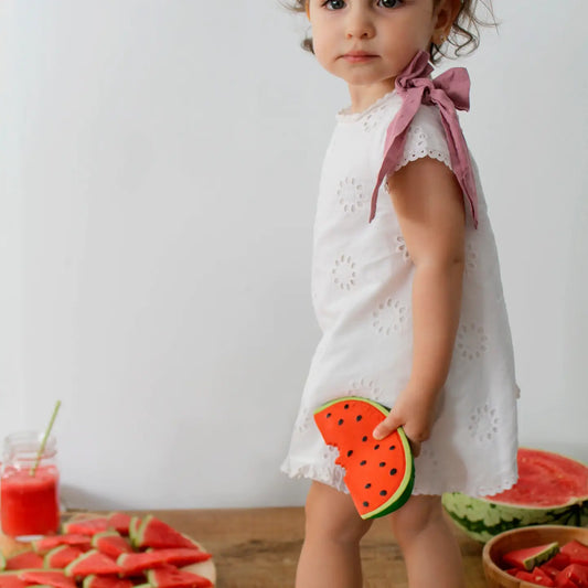 Wally the Watermelon Teether