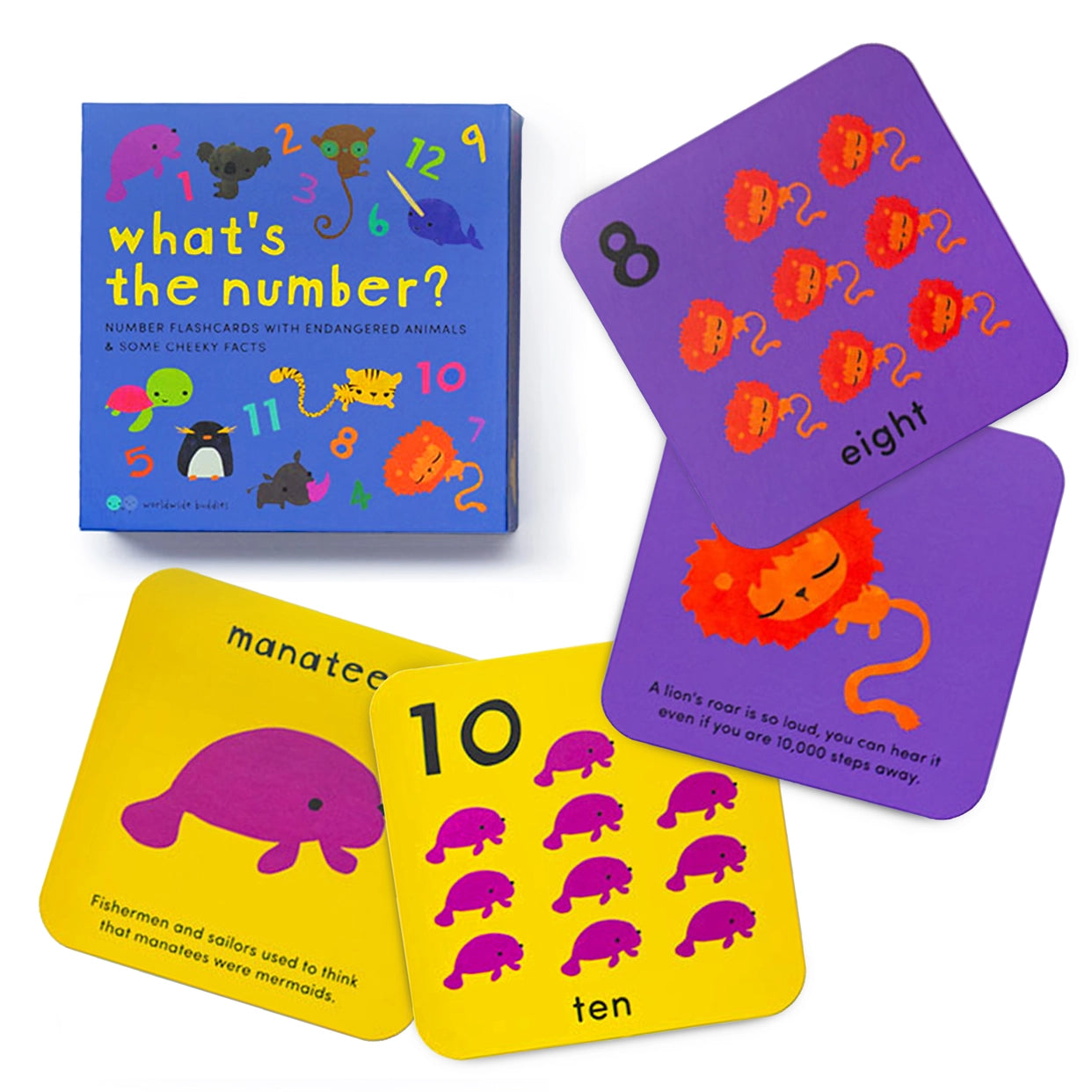 What’s The Number? Flashcards