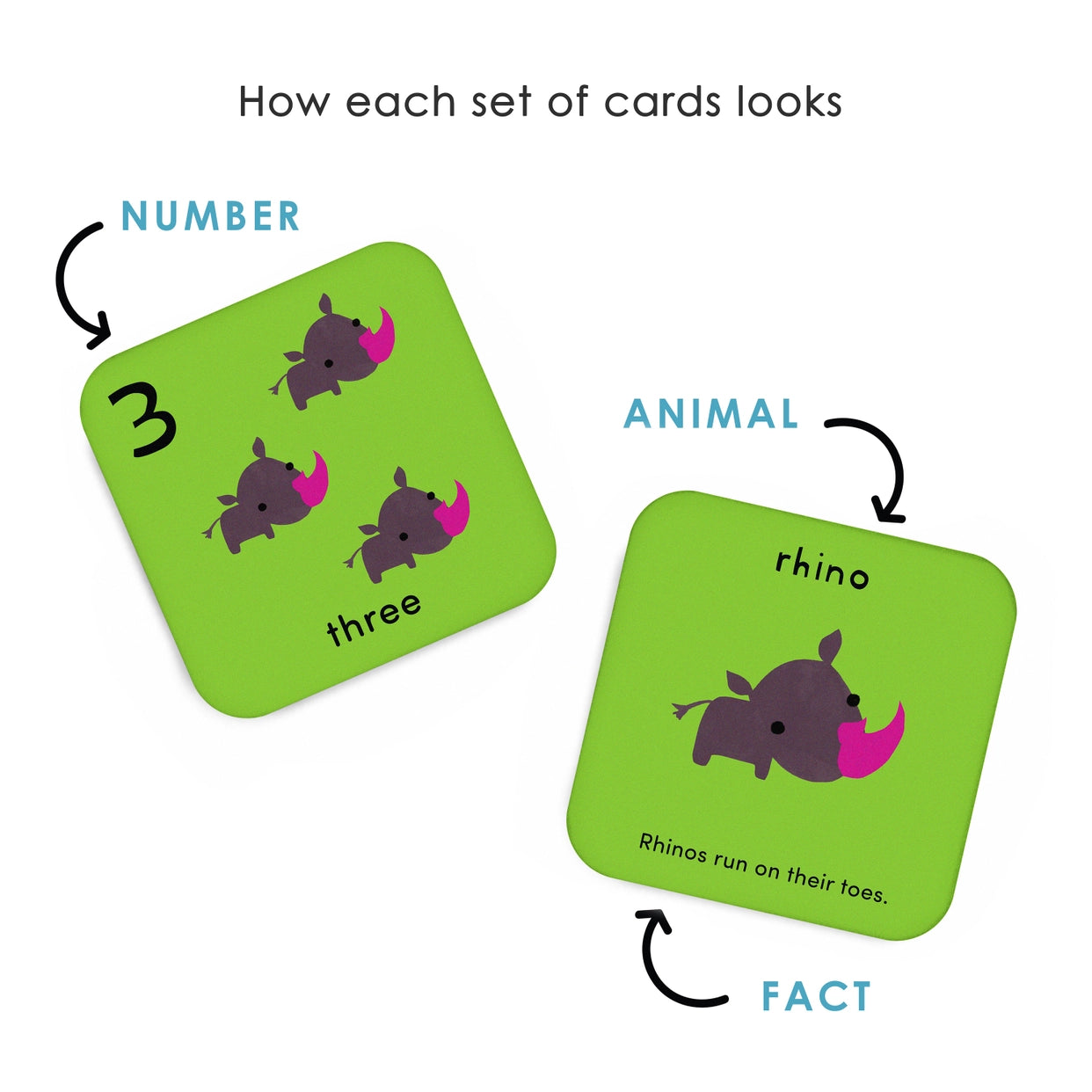 What’s The Number? Flashcards