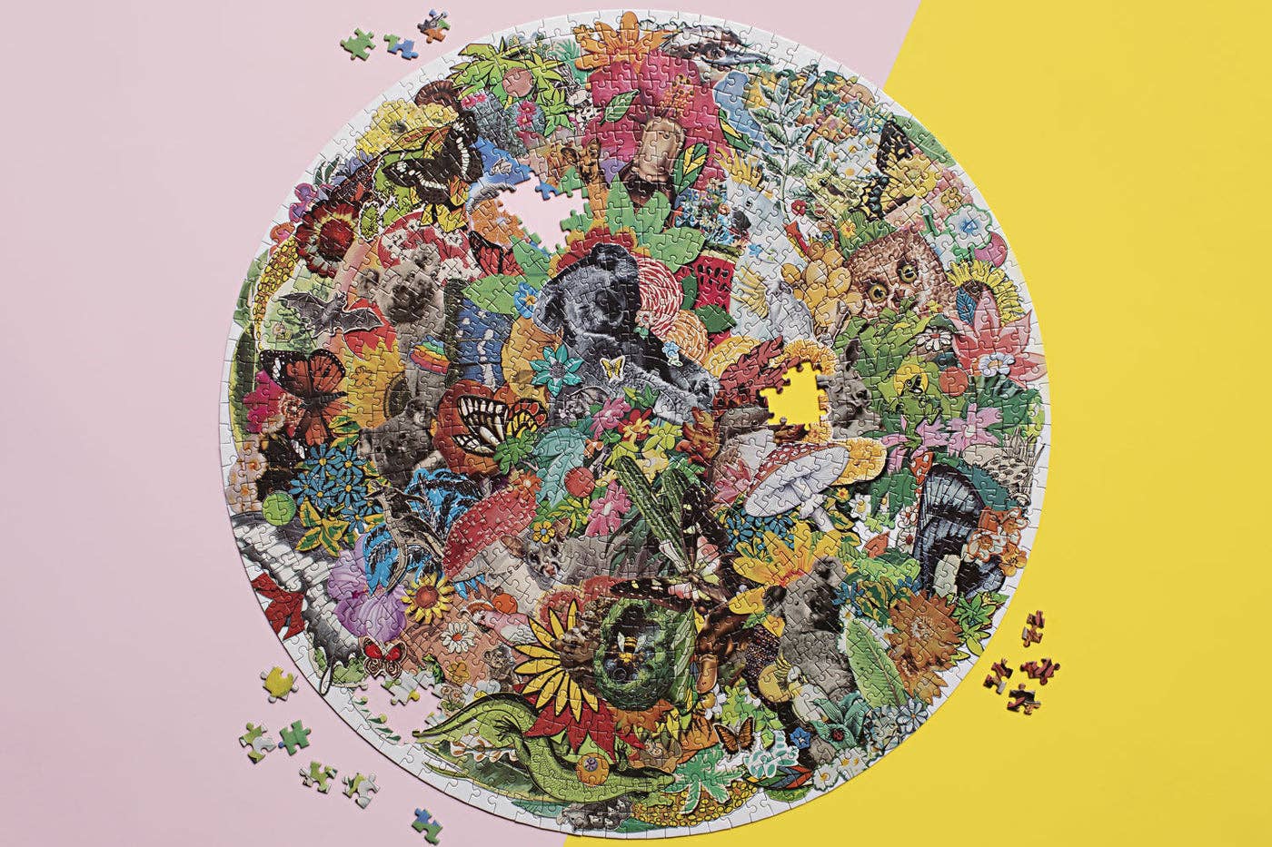 All Around Oz | Round 1000 Piece Jigsaw Puzzle