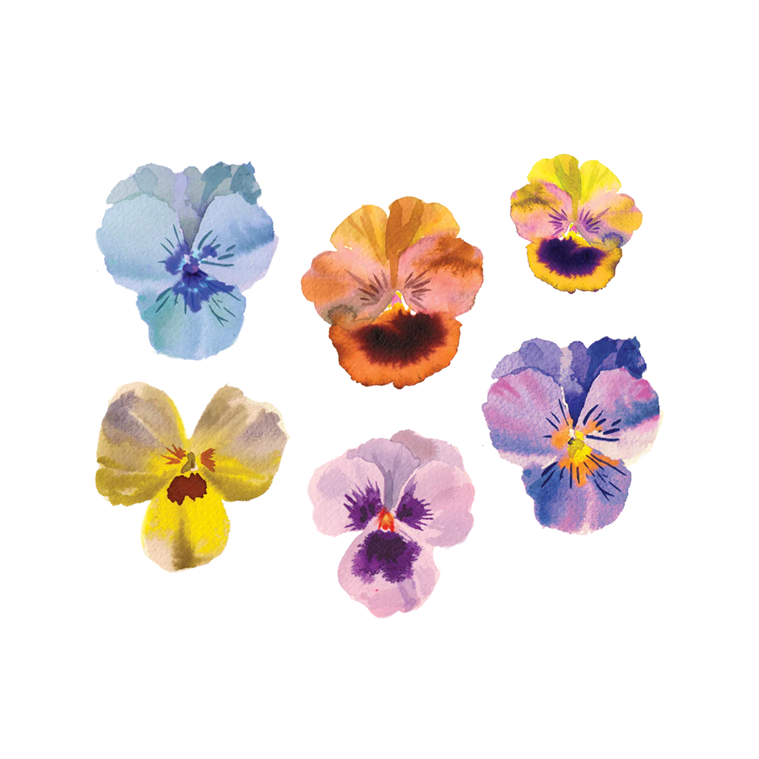 Pansies Tattoo Set