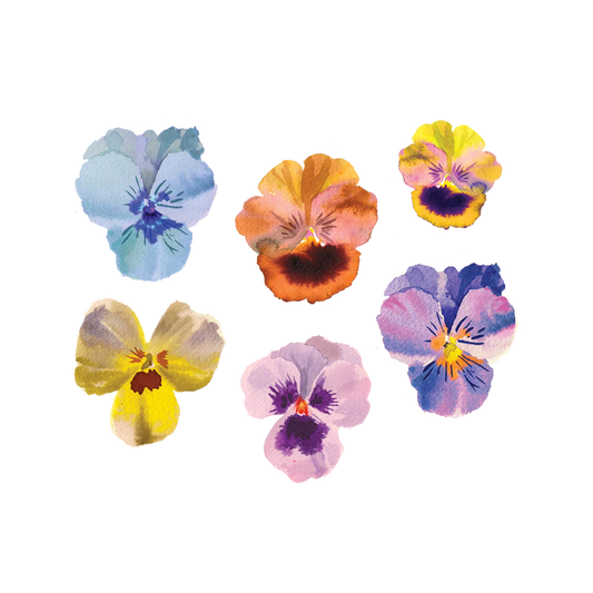 Pansies Tattoo Set