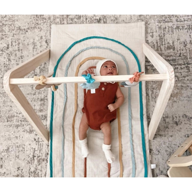 Wooden Baby Activity Gym + Toys