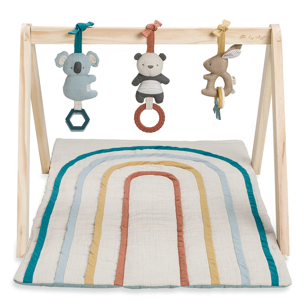 Wooden Baby Activity Gym + Toys