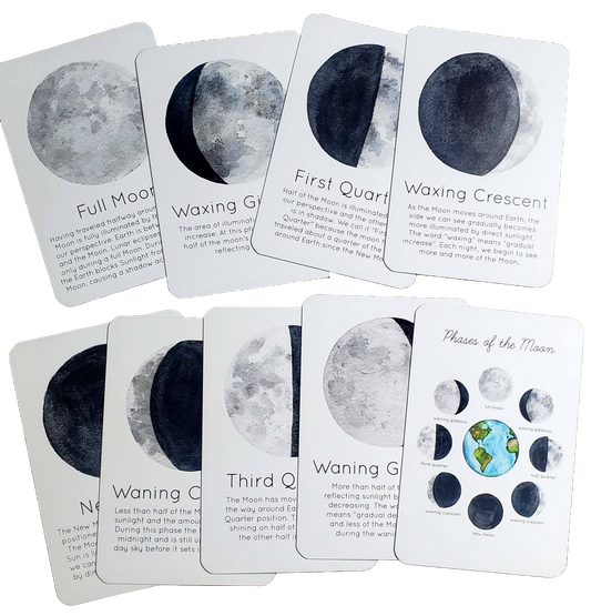 Moon Phases Flash Cards